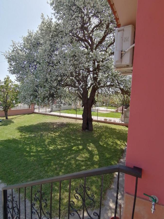 Αξέχαστη διαμονή - Unforgettable accommodation Nea Kallikrateia Esterno foto
